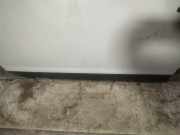 Zierleiste T?r Zier-Schutzleiste - Vorne Linke Citroen C4, I 2004.11 - 2008.06 Gebraucht,