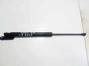 Gasdruckfeder Kofferraum Volkswagen Golf, VI 2008.10 - 2012.06 5k6827550b,2101yl 0550n Cgga