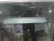 Zusatzbremsleuchte Skoda Superb, II 2008.03 - 2013.06 Gebraucht,