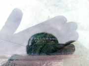 Seitenscheibe - Hinten Rechts Subaru Outback, III 2005.01 - 2009.06 as2,