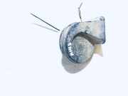 Hupe Ford Focus, 1998.10 - 2002.10 e335717,