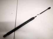 Gasdruckfeder Kofferraum Citroen C5, II 2008.02 - 2011.01 9682256580,