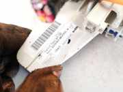 Bedienelement für Klimaanlage Nissan Note, 2006.03 - 2013.06 n107000l, 130410