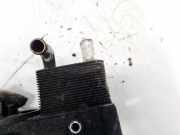 Ölkühler Ford Focus, 1998.10 - 2002.10 1S4Q6B624AC,