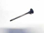 Auslassventil Renault Vel Satis, 2002.06 - 2009.12 Gebraucht,