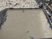 Seitenscheibe - Hinten Rechts Renault Espace, III 1996.11 - 2002.10 Gebraucht,