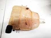 Ausgleichsbehälter Opel Meriva, B 2010.06 - 2017.12 39097904,