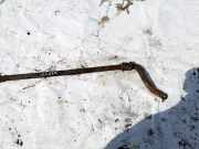 Stabilisator Vorne Kia Sorento, I 2002.01 - 2009.06 Gebraucht,