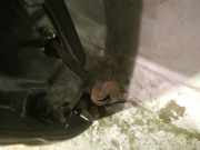 Türfangband Türbremse Türstopper - Hinten Rechts Opel Signum, 2003.05 - 2008.06 Gebraucht,