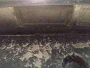 Kennzeichenleuchte Renault Espace, IV 2002.11 - 2014.12 Gebraucht,
