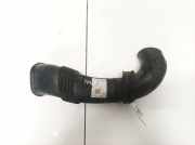 Schlauch für Luftversorgung Volkswagen Touareg, 2002.10 - 2007.09 Gebraucht,