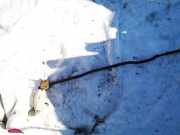 Stabilisator Stabi Hinten Hinterachse Hyundai Santa Fe, 2006.03 - 2012.09 Gebraucht,