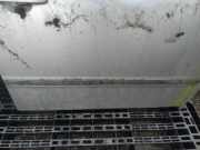 Zierleiste Tür Zier-Schutzleiste - Vorne Rechts Toyota Avensis Verso, 2001.08 - 2009.11 Gebraucht,