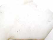 Scheibenwaschbehälter Vorne Wischwasserbehälter Opel Meriva, A 2002.12 - 2006.01 93323649, 564686137