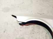 Kotflügel - Vorne Linke Renault Laguna, II 2001.03 - 2006.05 Gebraucht,