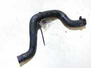 K?hlerschlauch Honda Accord, 1993.10 - 1997.12 Gebraucht,