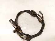 Sensor für ABS - Hinten Linke Skoda Roomster, I 2006.01 - 2010.05 6Q7927807,6Q7927807