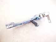 Türgriff Türaussengriff Volkswagen Transporter, T5 2003.04 - 2009.11 Gebraucht, BRSQ090400