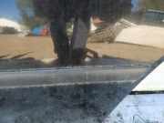 Zierleiste T?r Zier-Schutzleiste - Hinten Linke Volkswagen Golf, IV 1997.08 - 2003.10 Gebraucht,