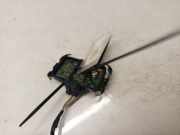 Regensensor Peugeot 407, 2004.05 - 2010.12 9652490380,1 397 212 076 1397212076 96 524 903 80 9652490380