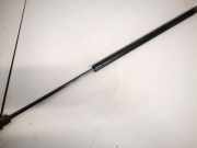 Gasdruckfeder Kofferraum Opel Vectra, C 2002.04 - 2005.10 Gebraucht,