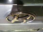 Emblem Hyundai Santa Fe, 2006.03 - 2012.09 Gebraucht,