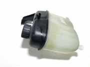 Ausgleichsbehälter Mercedes-Benz A-CLASS, W169, 2004.09 - 2008.09 1695000049,