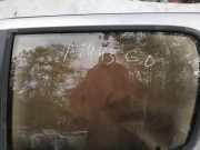 Seitenscheibe - Hinten Rechts Toyota Yaris Verso, 1999.11 - 2005.09 Gebraucht,