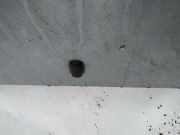 Waschwasserdüse Scheibenreinigung Ford KA, 1999.09 - 2008.11 facelift Gebraucht,