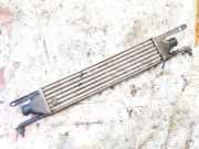Ladeluftkühler Fiat Punto, 2005.10 - 2012.03 Gebraucht,