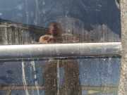 Zierleiste Tür Zier-Schutzleiste - Vorne Linke SAAB 9-5, 2005.11 - 2010.05 facelift Gebraucht,