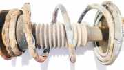 Fahrwerksfeder vorne Toyota Corolla Verso, II 2001.09 - 2004.05 Gebraucht,