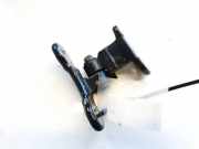 Türscharnier Hinten Volvo V50, 2007.05 - 2012.01 30784892,