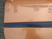 Zierleiste T?r Zier-Schutzleiste - Vorne Rechts Renault Twingo, 2007.03 - 2014.06 Gebraucht,