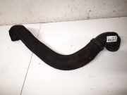 Schlauch für Luftversorgung Renault Clio, 2005.05 - 2009.06 8200381079,
