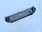 Ladeluftkühler Land-Rover Range Rover Sport 2005 - 2013 Gebraucht,