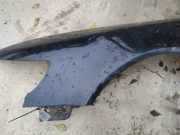 Kotflügel - Vorne Linke Volkswagen Phaeton, 2002.04 - 2006 melynas, AYT