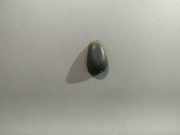 Waschwasserd?se Scheibenreinigung Nissan Almera Tino 2000.08 - 2003.09 Gebraucht,