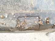 Abdeckung Abschlepphaken - Hinten Volvo S80, 1998.05 - 2004.06 Gebraucht,