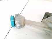 Beh?lter Bremsfl?ssigkeit Nissan Primera, P12 2002.01 - 2008.12 Gebraucht,