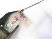 Sto?stangentr?ger hinten Renault Megane, II 2002.11 - 2006.06 Gebraucht,