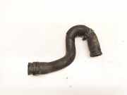 Kühlerschlauch Volkswagen Passat, B5+ 2000.11 - 2005.05 8D0121109H,8D0121109H AKN