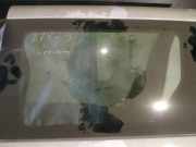 Seitenscheibe - Hinten Linke Chrysler Voyager, IV 2000.02 - 2008.12 Gebraucht,