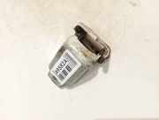 Türscharnier Hinten Renault Scenic, III 2009.02 - 2013.06 Gebraucht,