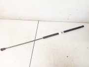 Gasdruckfeder Kofferraum Skoda Superb, I 2001.12 - 2008.03 Gebraucht,