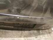 Kennzeichenleuchte Toyota Auris, I E15 2006.10 - 2012.10 Gebraucht,