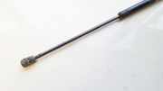Gasfeder für Motorhaube Opel Astra, F 1991.09 - 1998.09 06923502, 069-23502