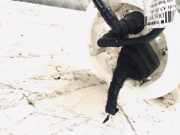 Kraftstoffpumpe Audi A5, 2007.06 - 2012.06 8k0919050h, 8k0919050h