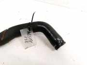 Kühlerschlauch Fiat Punto, 1999.09 - 2005.10 Gebraucht ,