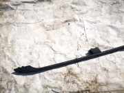 Dachreling Rechts Renault Megane, II 2002.11 - 2006.06 8200400390,